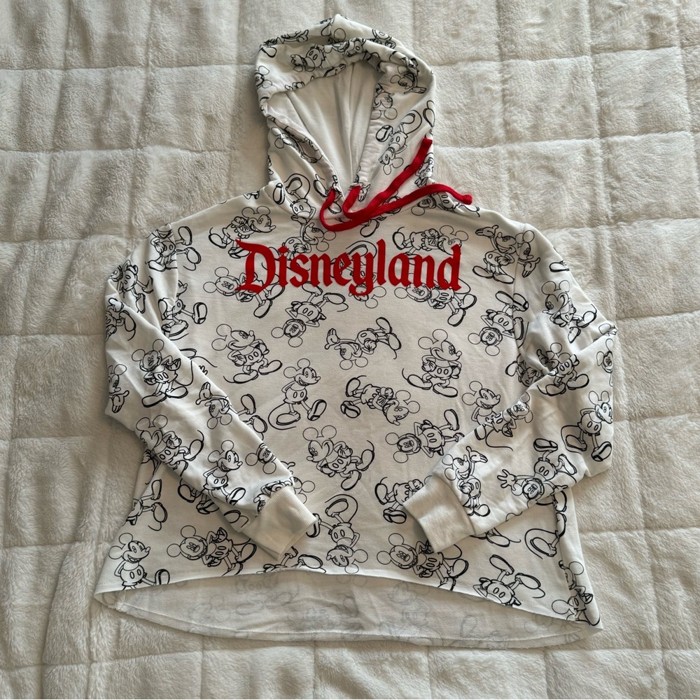 NWOT - Disneyland Long Sleeve Hooded Shirt - Size Small